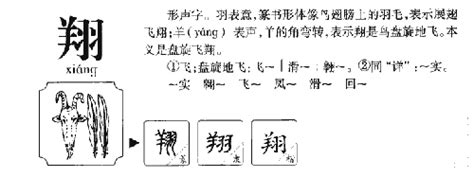 翔五行|翔的五行